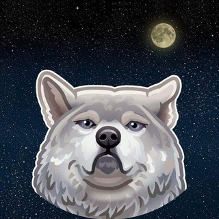 🐺 ВулфиВПН • VPN