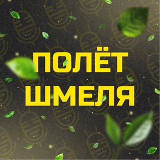 ПШ | Боруссия Дортмунд