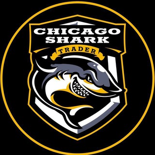 Chicago Shark Инвестиции в акции