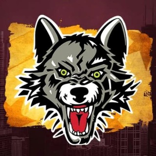 Чикаго Вулвз | Chicago Wolves