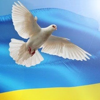 Help UKRAINE in DRESDEN und Sachsen