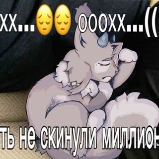 CAT WAFFLE пупупу