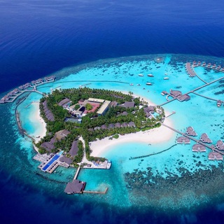 Мальдивы Форум • Чат 🇲🇻 Maldives