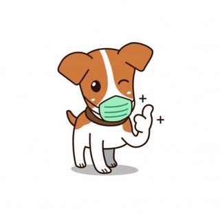 5 ВВЕРХ 🐶 Марсель