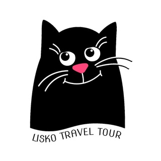 PET Transport UK, Cats and Dogs