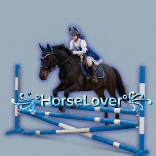 ꧁°HorseLover°꧂