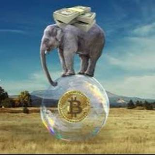 Slon Info 🐘 криптообменник
