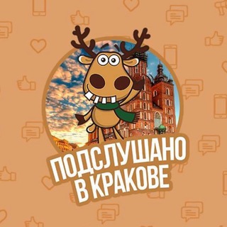 🔥Подслушано в Кракове