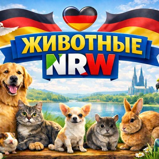 Животные NRW 🇩🇪 | Продажа и покупка • Помощь • Советы • Уход
